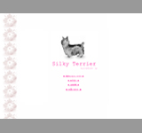 Silky Terrier